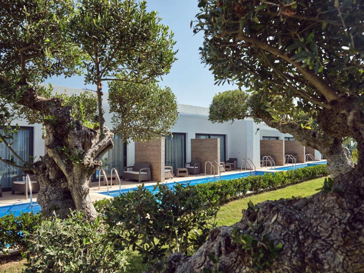 Cavo Orient Beach Hotel & Suites Drosia  외부 사진